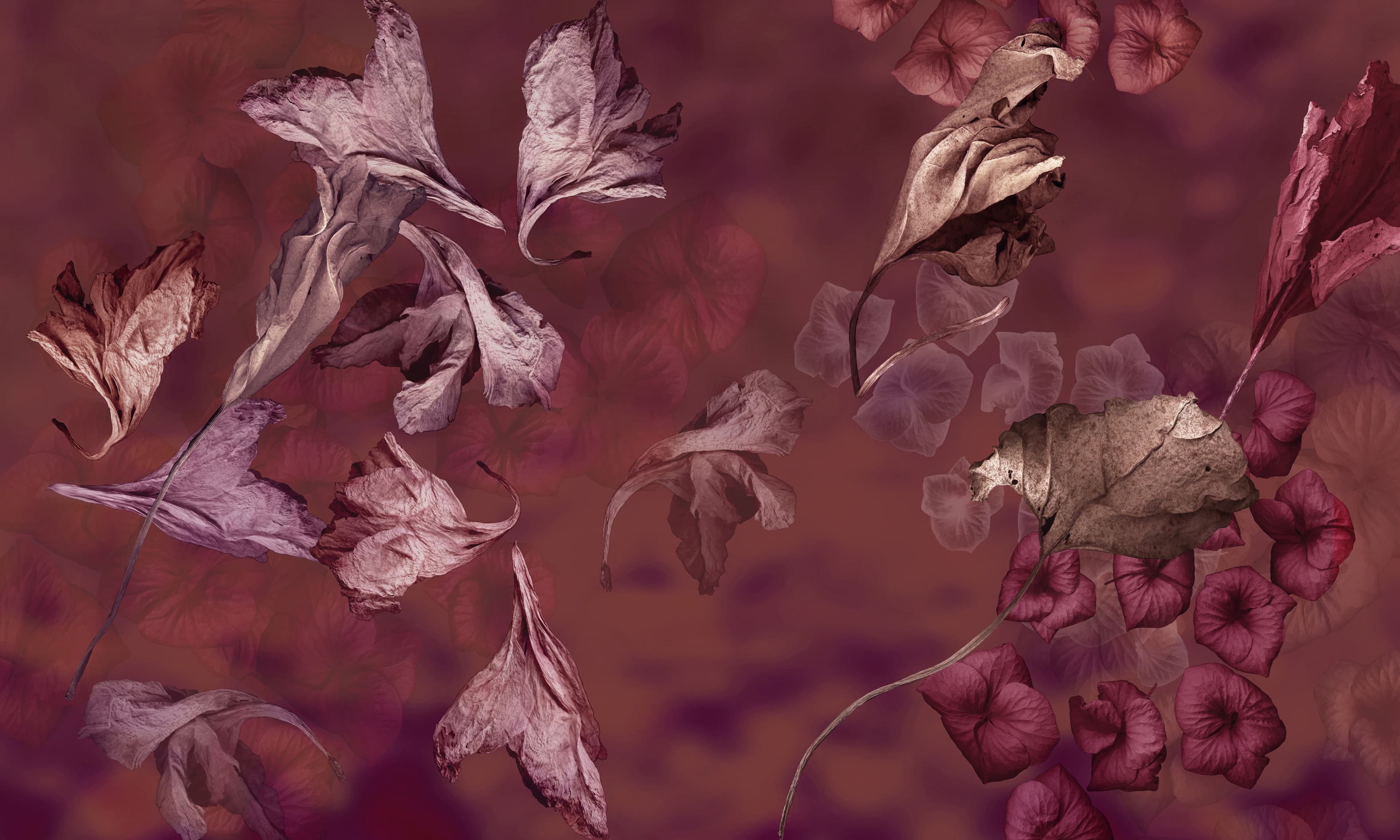 Flor