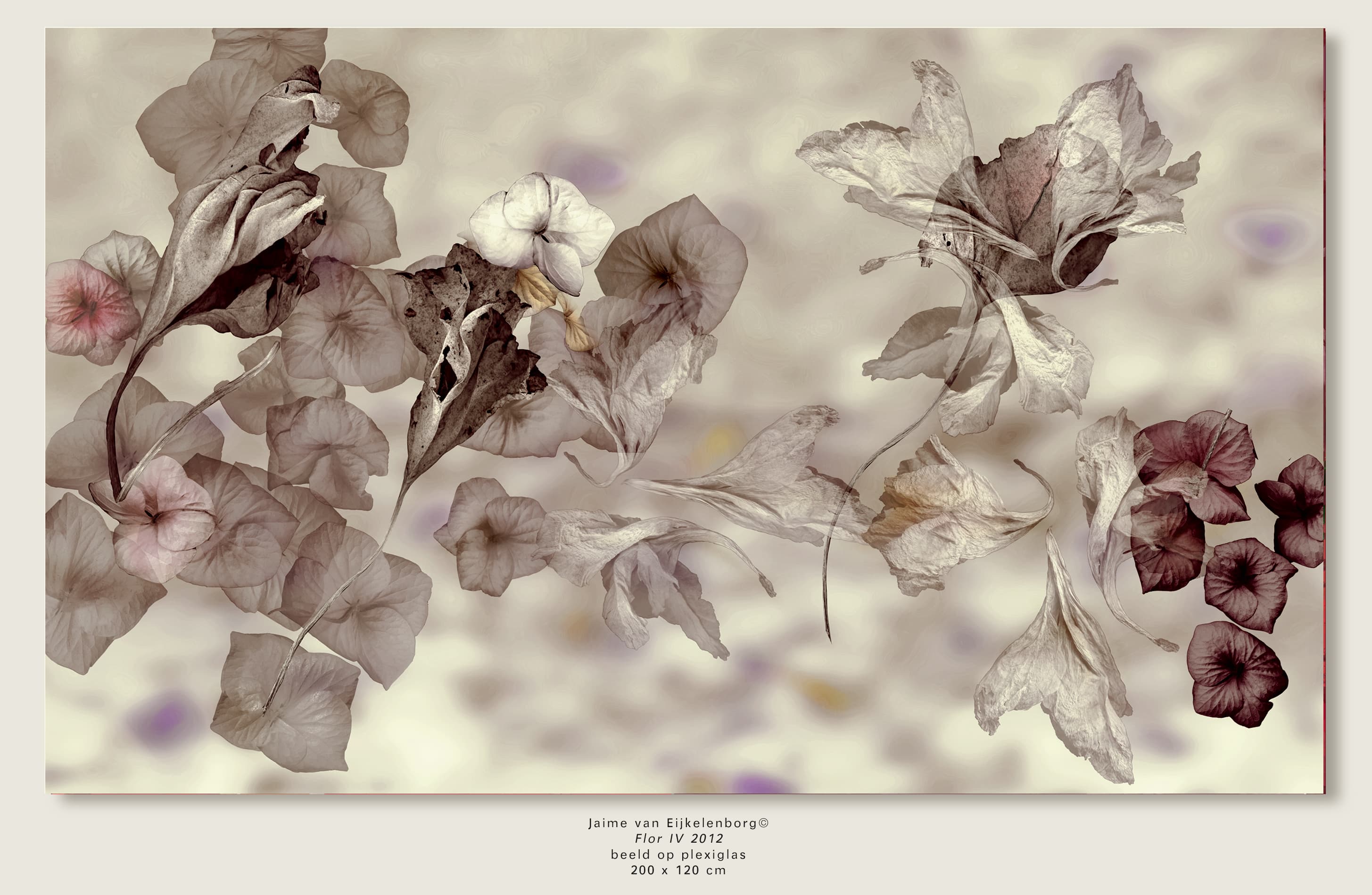 Flor