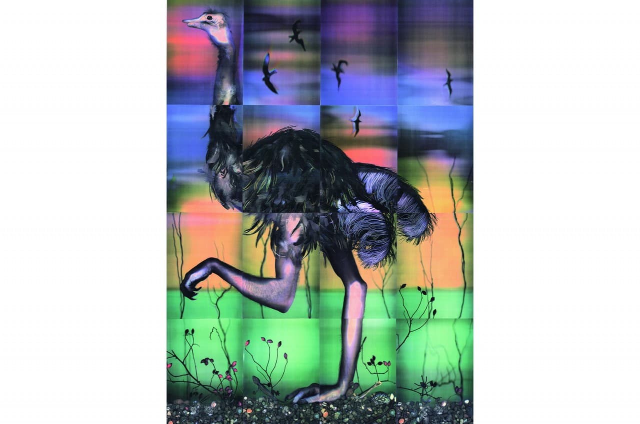 Ostrich 2/3