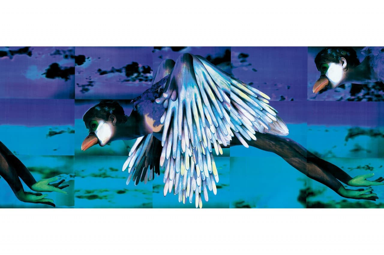 Spoonbill