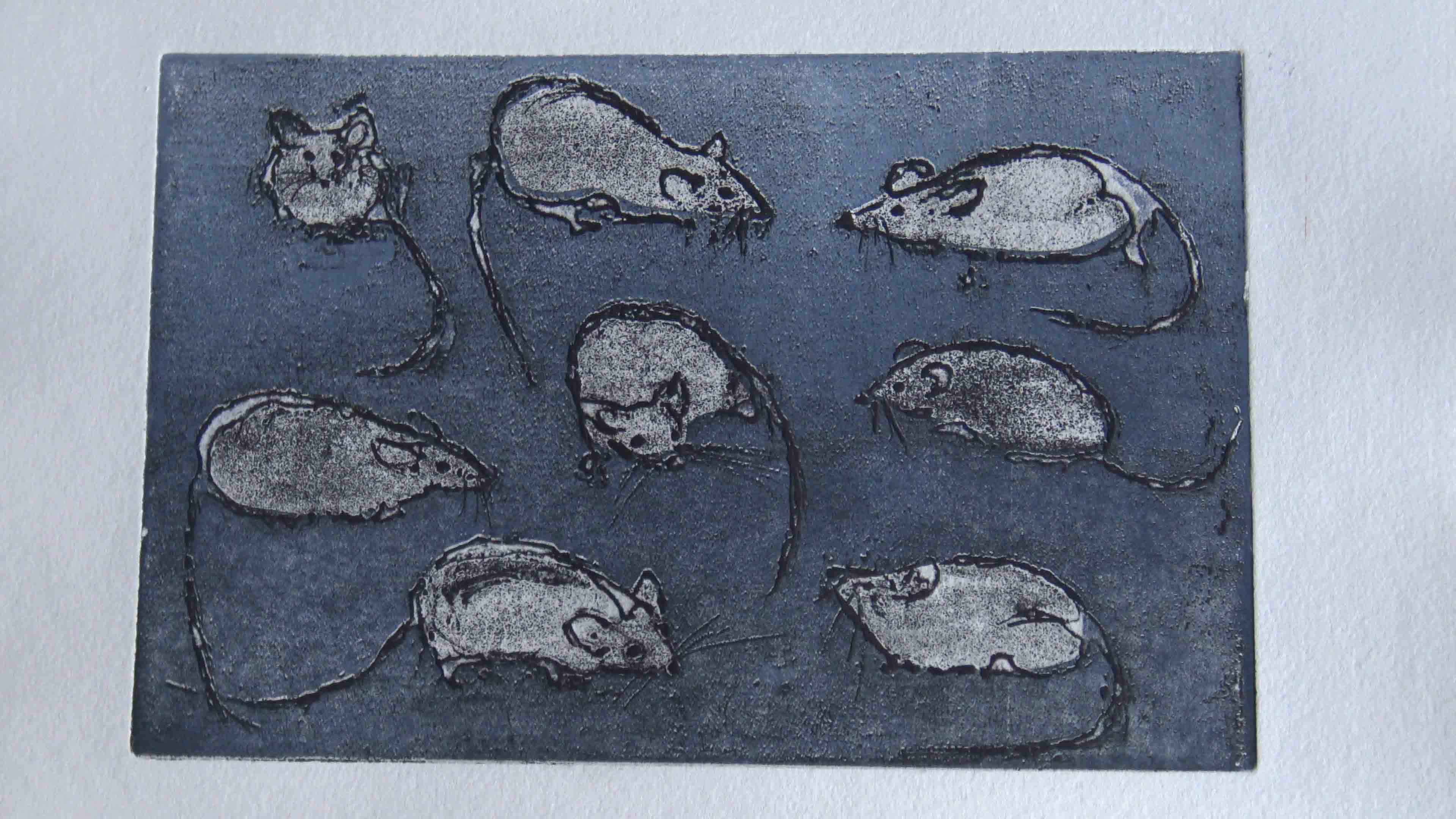 8 Muizen