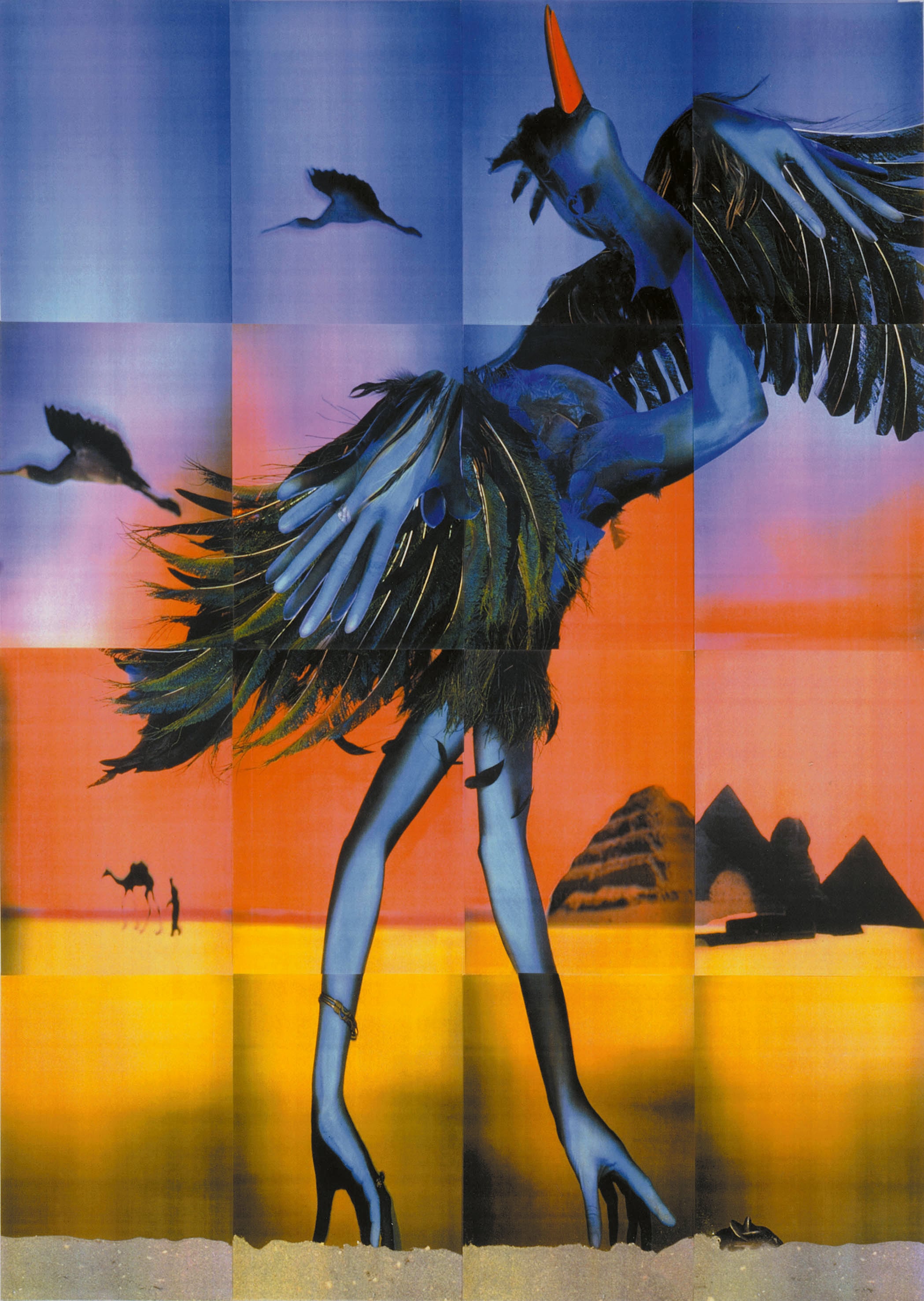 Ibis 2/3
