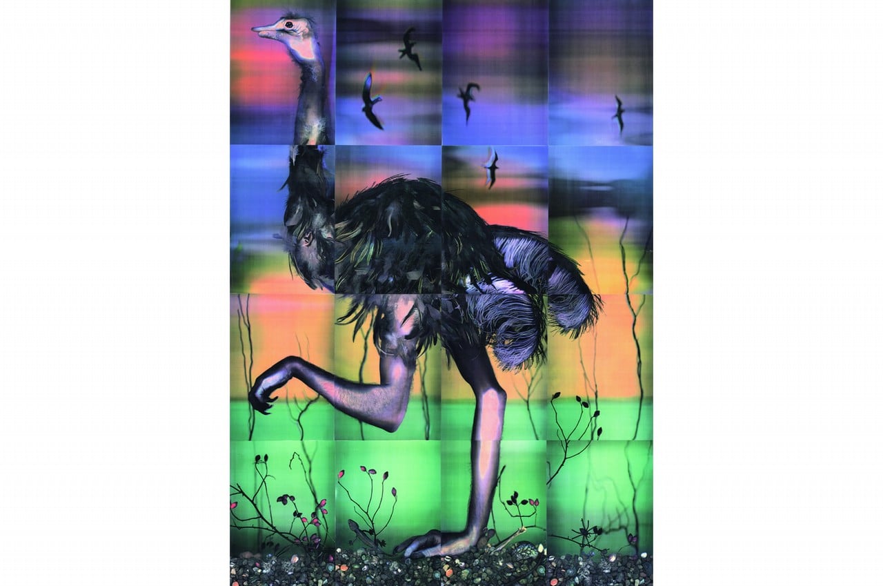 Ostrich 2/3
