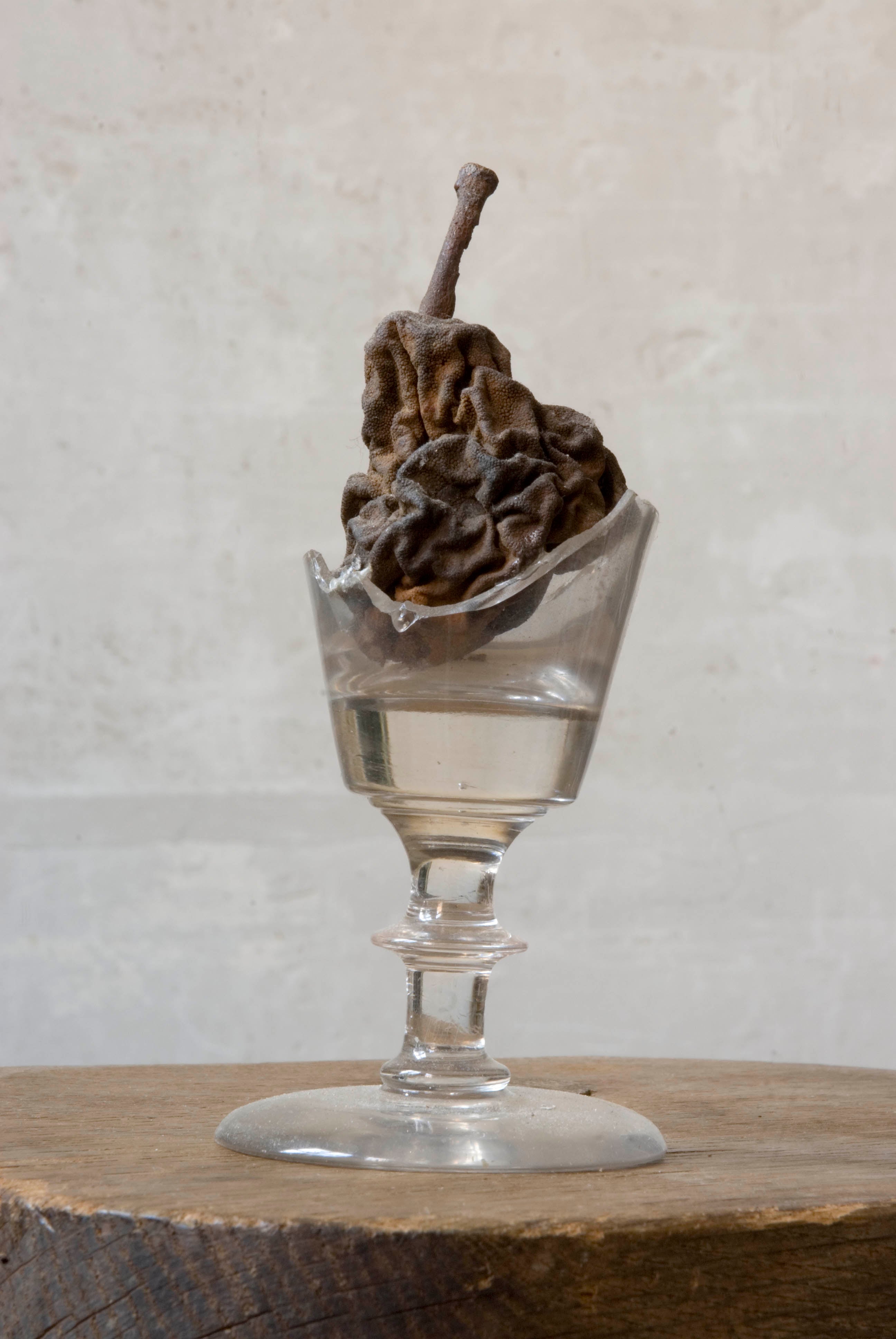 Poire Belle Helene