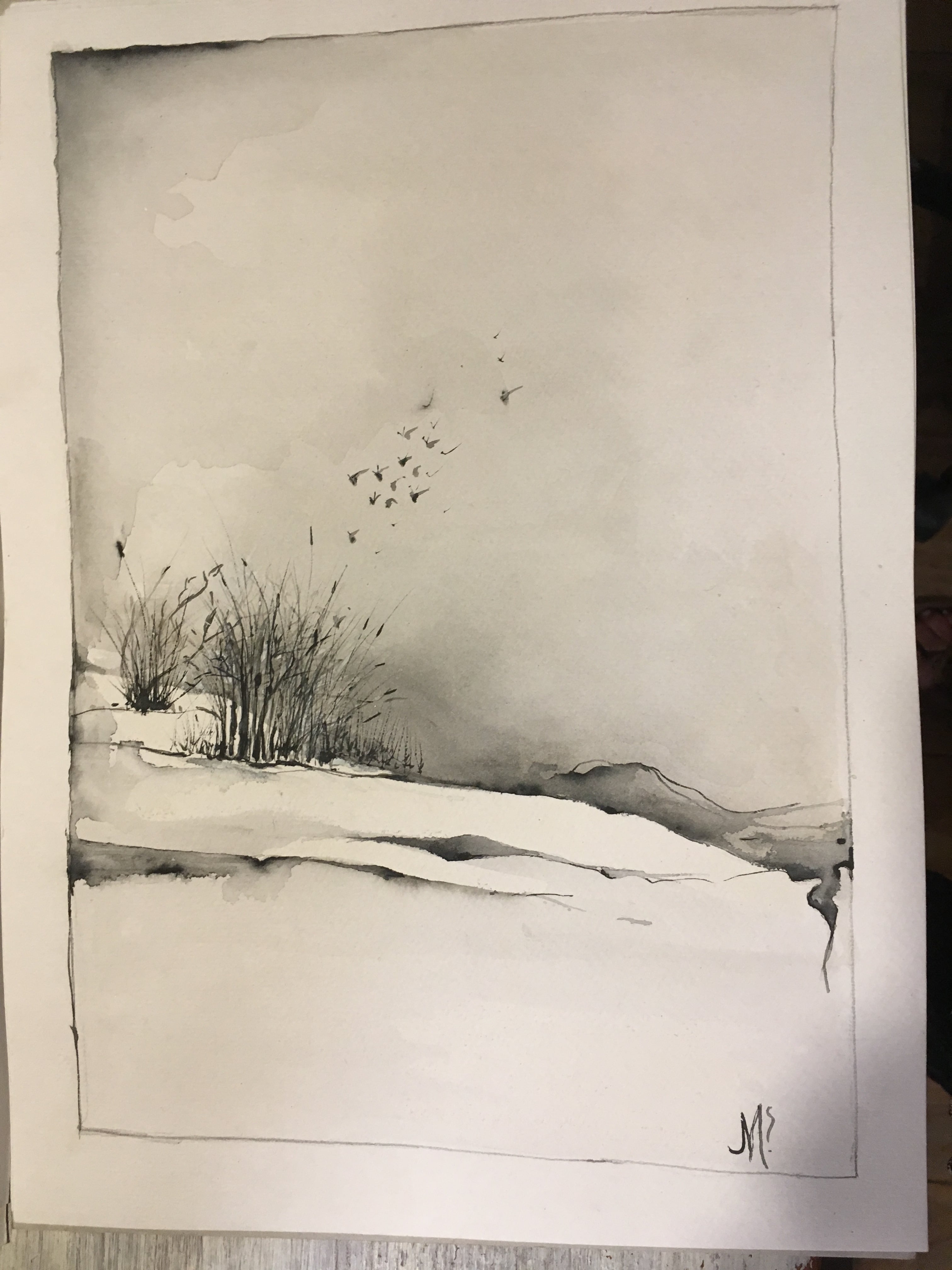 Landschap