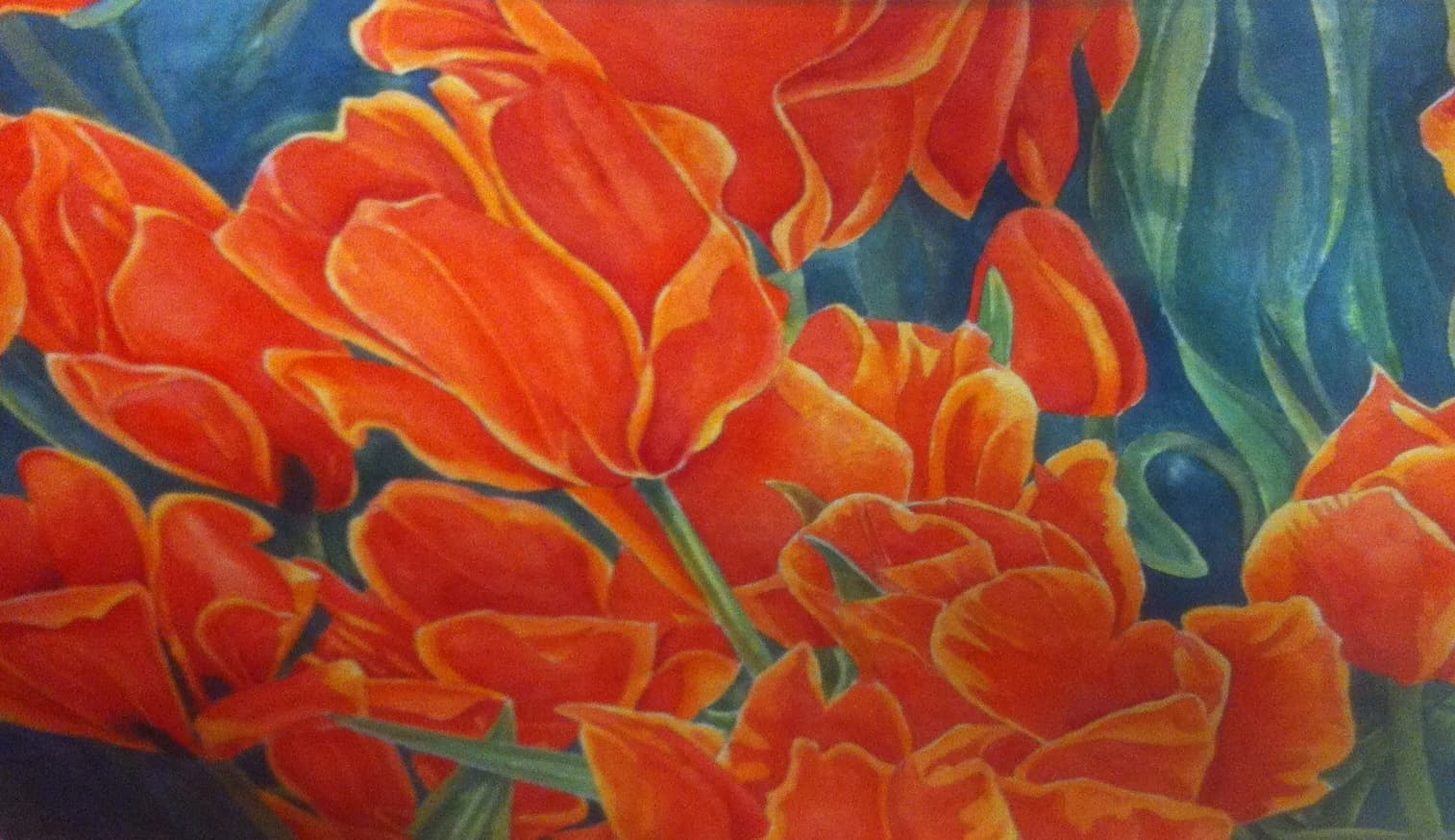 Rode tulpen