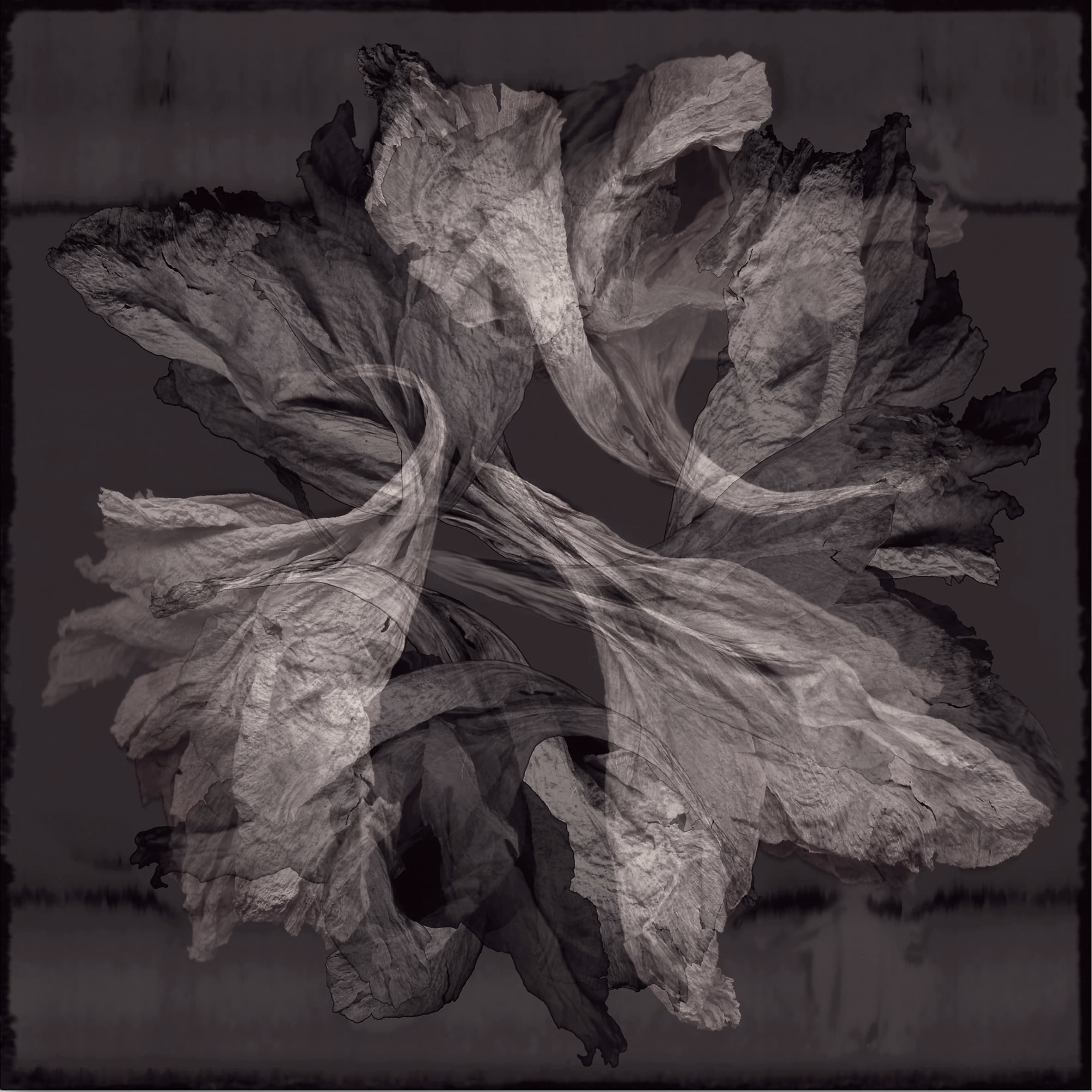 Papierbloem
