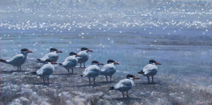 Caspianterns