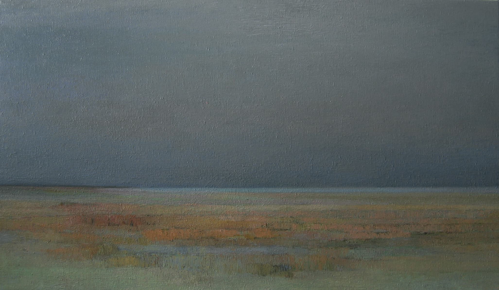 Vlak landschap avond