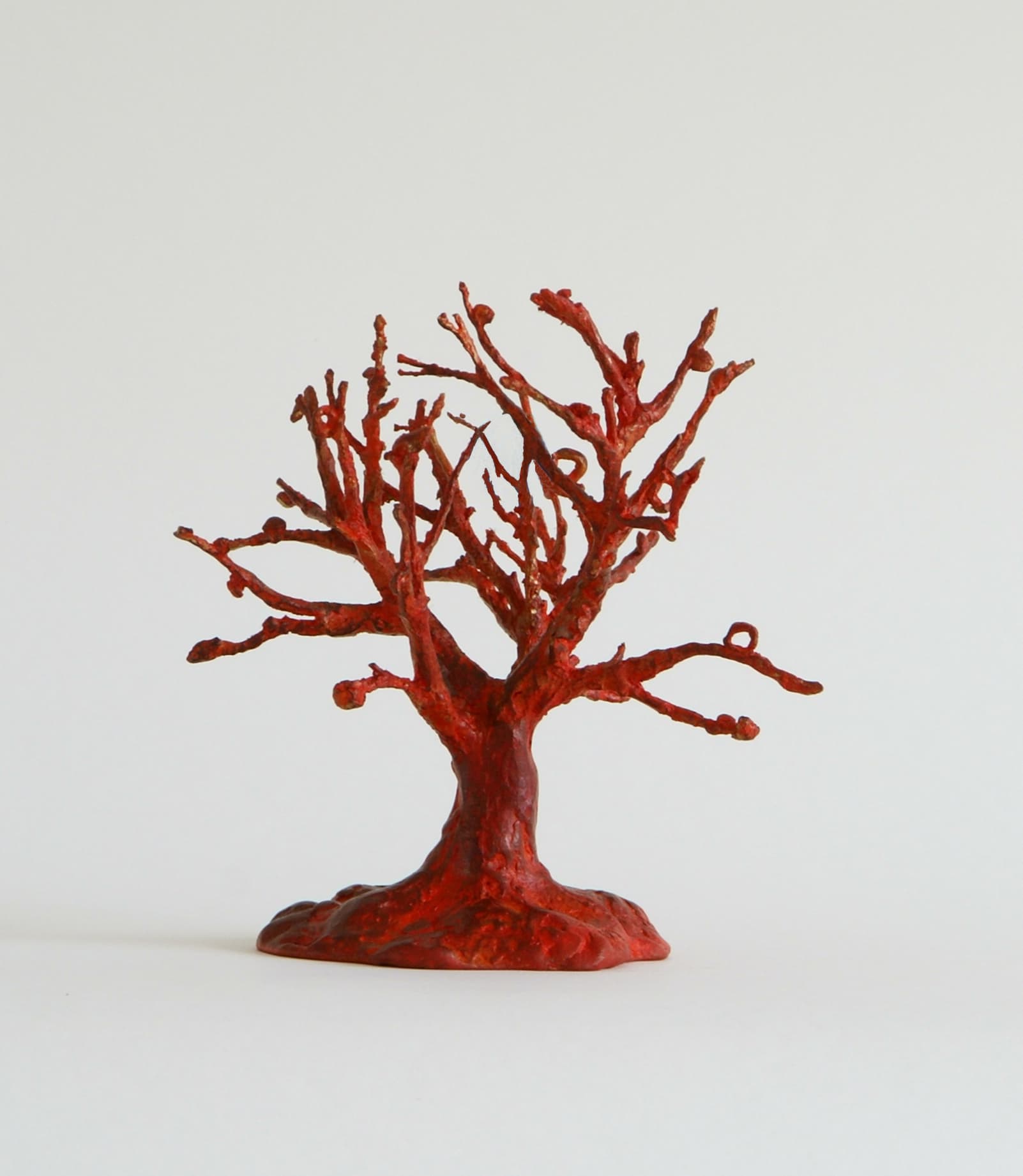Boompje, rood 1/1
