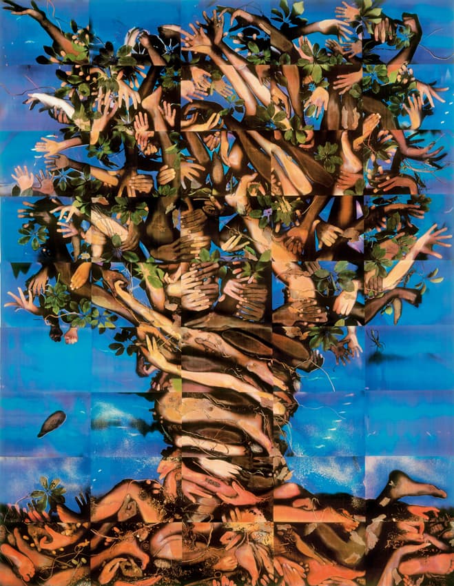 Baobab