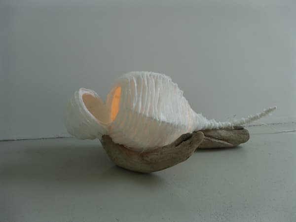 Lichtobject