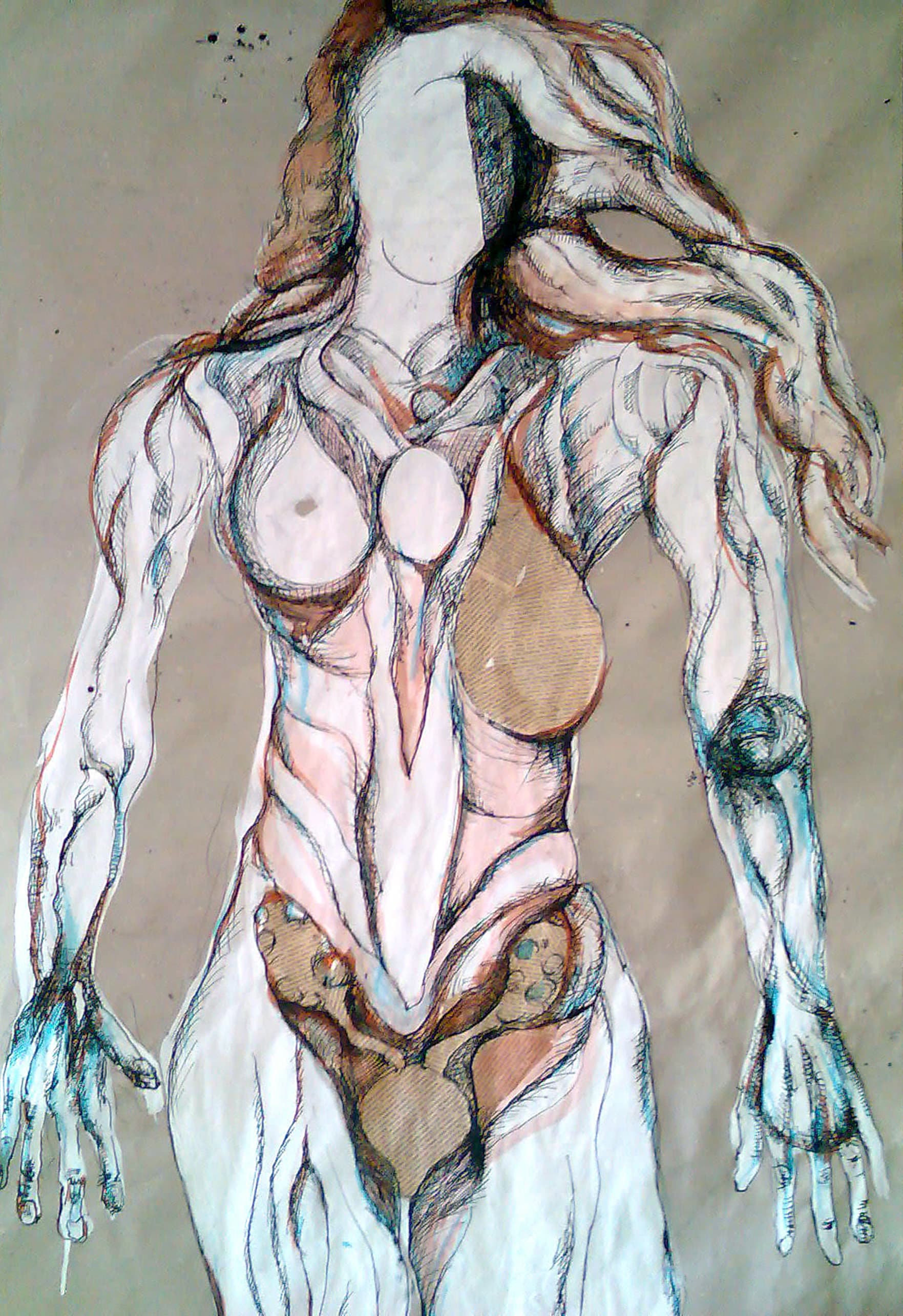 Anatomische illusies